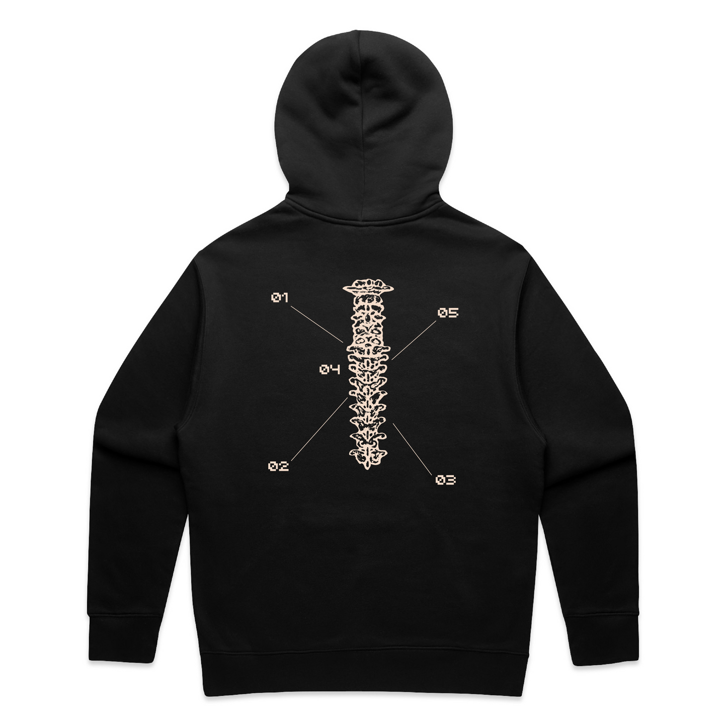 Bones